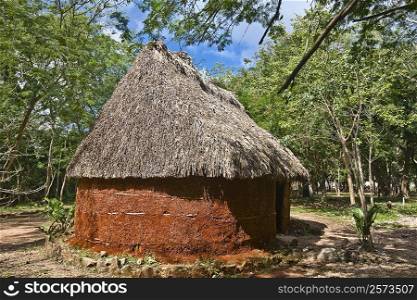 Thatched roof house surrounded by trees, Chichen Itza, Yucatan, Mexico