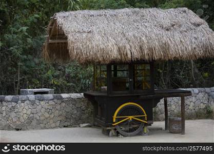 Thatched roof on a stall