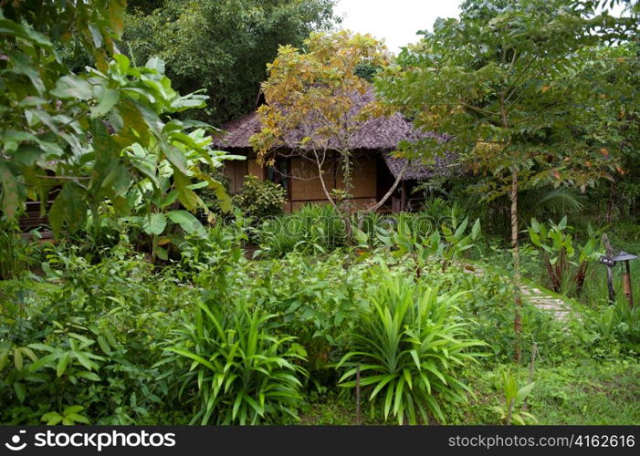 Thatched roofed hut in a village, Thailand