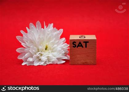 The abbreviation for saturday on a wooden block with a white daisy on a red background