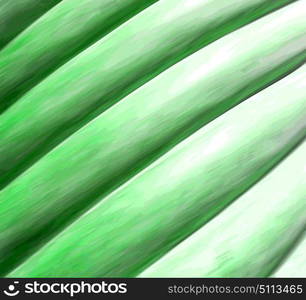 the abstract colors and blur background texture