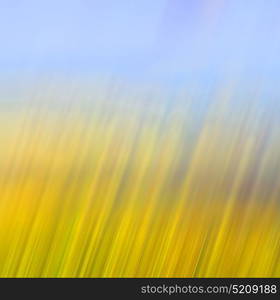 the abstract colors and blur background texture