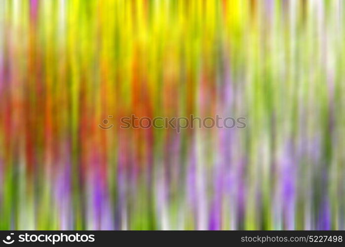 the abstract colors and blur background texture