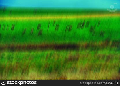 the abstract colors and blur background texture