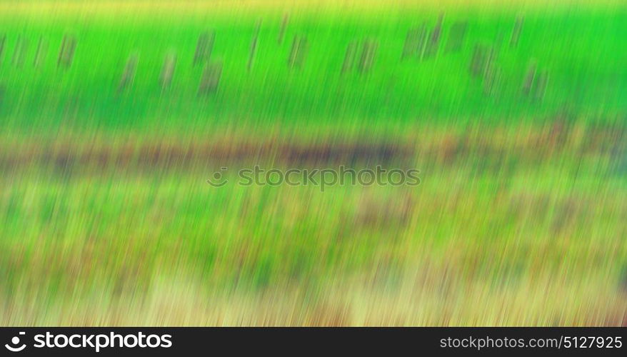 the abstract colors and blurred background