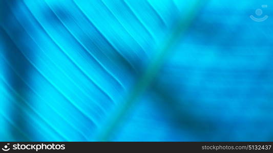 the abstract colors and blurred background