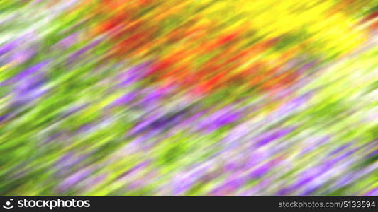 the abstract colors and blurred background