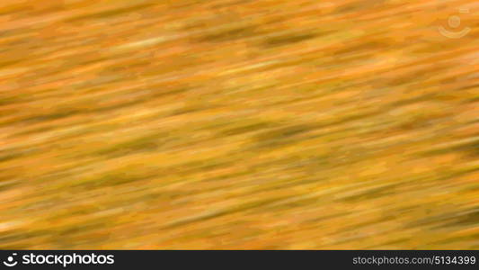 the abstract colors and blurred background