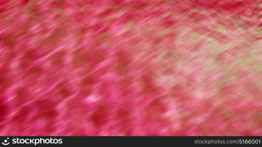 the abstract colors and blurred background