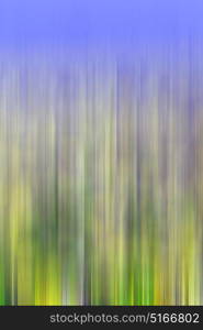 the abstract colors and blurred background