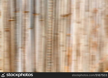 the abstract colors and blurred background