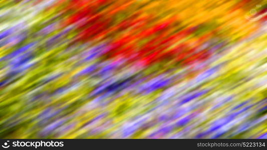 the abstract colors and blurred background