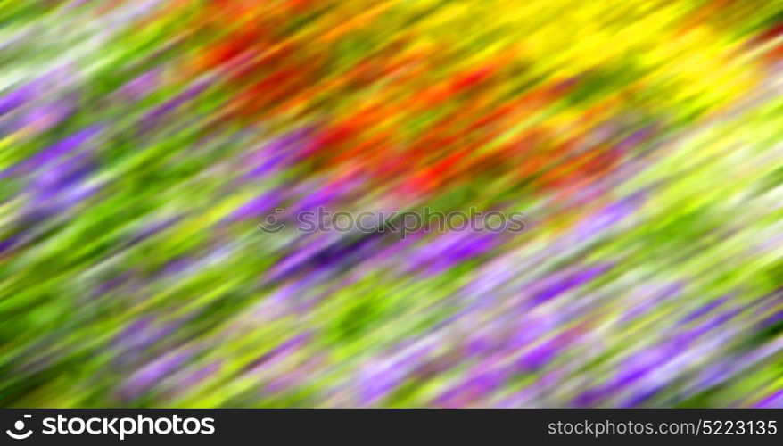 the abstract colors and blurred background