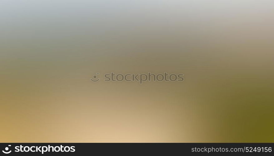 the abstract colors and blurred background