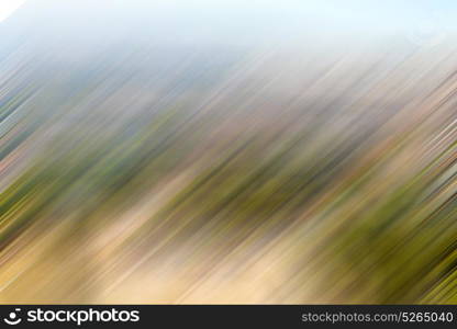 the abstract colors and blurred background