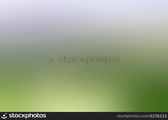 the abstract colors and blurred background