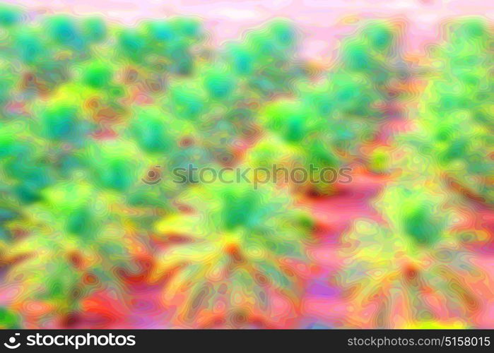 the abstract colors and blurred background texture