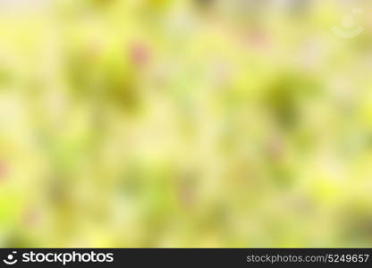 the abstract colors and blurred background texture