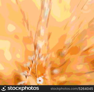 the abstract colors and blurred background texture