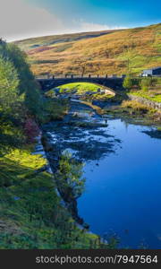 The Afon Claerwen, tranquil stream on Autumn morning. Powys, Wales, United Kingdom. Portrait view