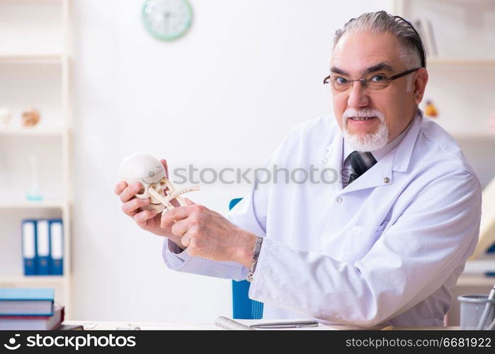 The aged male doctor with skeleton . Aged male doctor with skeleton 