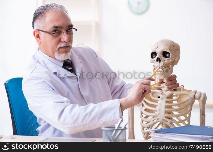 The aged male doctor with skeleton. Aged male doctor with skeleton