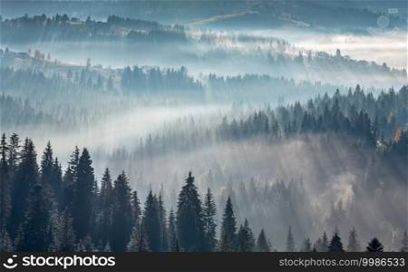 The air. Light and shadows in mist. First rays of sun through fog and trees on slopes. Morning autumn Carpathian Mountains landscape  Ivano-Frankivsk oblast, Ukraine .