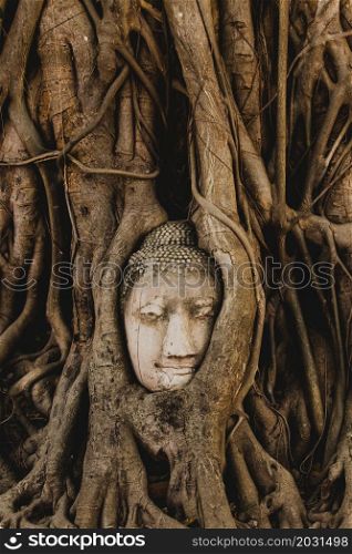 The ancient Buddha head overgrown by the roots of Bodhi tree at Wat Mahathat, travel destinations in Ayutthaya Historical Park, UNESCO World Heritage Site, Phra Nakhon Si Ayutthaya, Thailand.