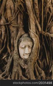 The ancient Buddha head overgrown by the roots of Bodhi tree at Wat Mahathat, travel destinations in Ayutthaya Historical Park, UNESCO World Heritage Site, Phra Nakhon Si Ayutthaya, Thailand.