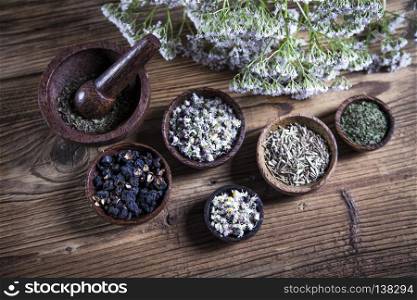 The ancient Chinese medicine. The ancient Chinese medicine, herbs and infusions