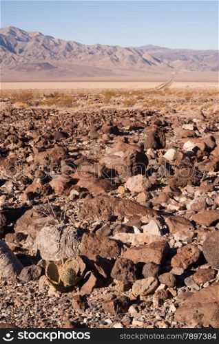 The ancient volcanic landscape in the desert southern California