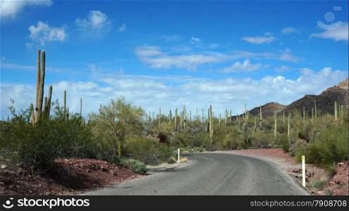 The Arizona-Sonora Desert Museum is a 98-acre (40 ha) zoo, aquarium, botanical garden, natural history museum, publisher, and art gallery founded in 1952. &#xA;