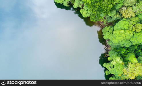 The astonishing greens of the archipelago of Azores - Portugal