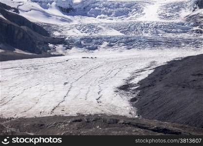 The Athabasca Glacier is formed from the ice fall coming from the Columbia Ice Field. The scale is enormous; to show the scale, there is a group of trucks and people in mid-glacier and a second group at the tongue of the glacier. The glacier is said to be 800 feet deep.