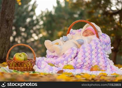 The baby sleeps in a basket in the autumn forest, next to a basket of apples