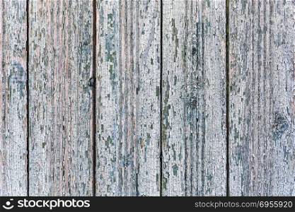 The background image of the structure of wooden boards with old paint
