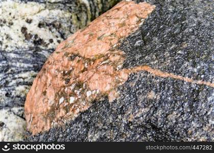 the background of sea stone, the texture of the stone. the texture of the stone, the background of sea stone