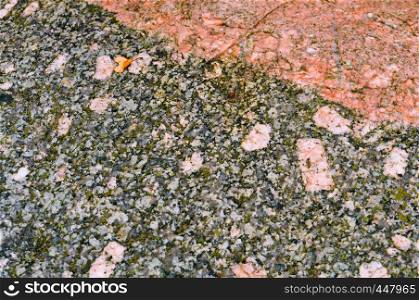 the background of sea stone, the texture of the stone. the texture of the stone, the background of sea stone