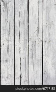 the background of weathered white painted wood