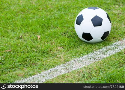 The ball in grass. The sideline. Fresh green grass. Black and white ball.