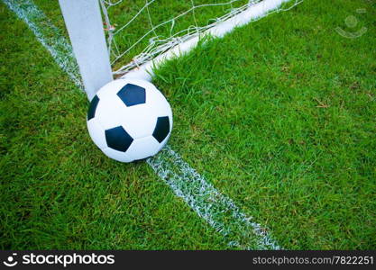 The ball in grass. The sideline. Fresh green grass. Black and white ball.