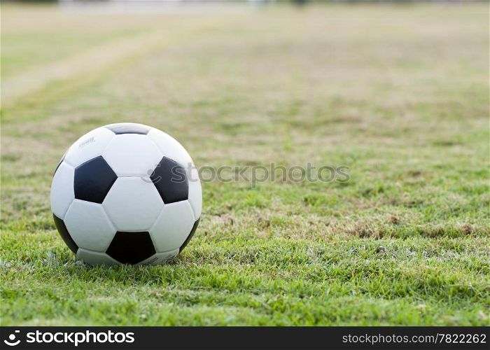 The ball in grass. The sideline. Fresh green grass. Black and white ball.