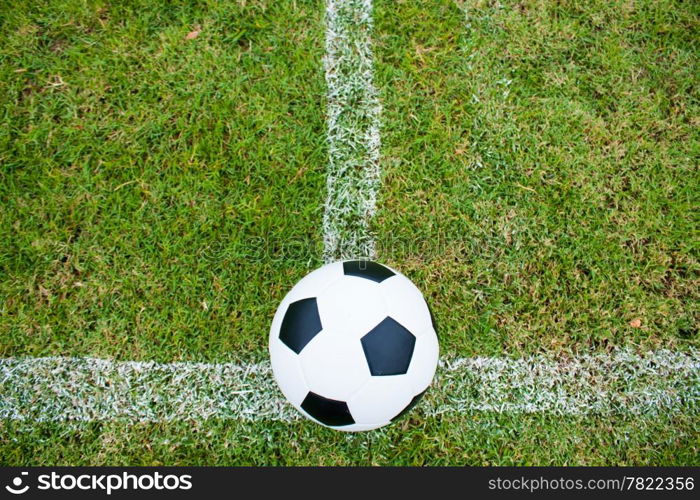 The ball in grass. The sideline. Fresh green grass. Black and white ball.