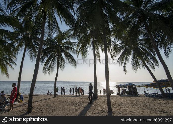 the Bang Saen Beach at the Town of Bangsaen in the Provinz Chonburi in Thailand. Thailand, Bangsaen, November, 2018. THAILAND CHONBURI BANGSAEN BEACH