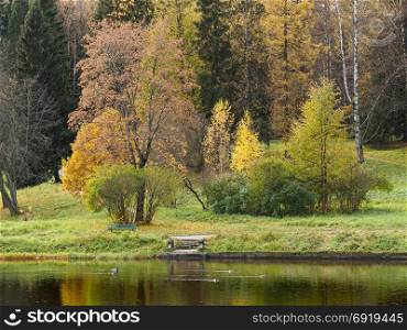 The bank of the river with a bench on the opposite shore. Autumn forest on the background