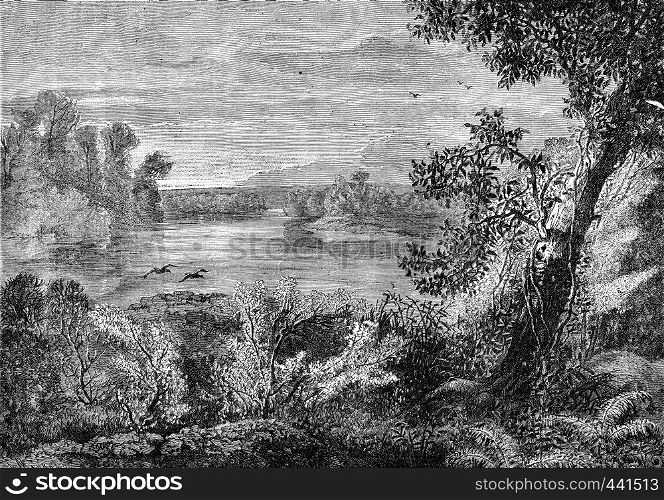 The banks of the largest lake broods, vintage engraved illustration. Journal des Voyage, Travel Journal, (1880-81).