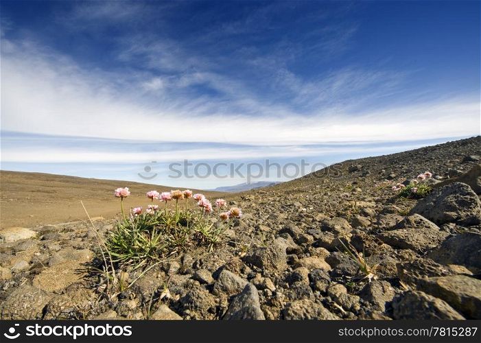 The barren, rough volcanic tundra landscape of Iceland&rsquo;s interior highlands with the Langjokull glacier in the distance