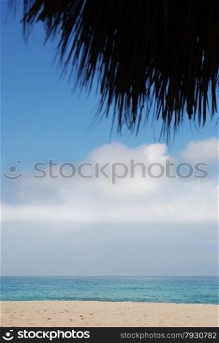 The beach from under a palm leaf umbrella