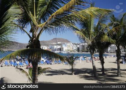 the Beach in the city of Las Palmas on The Gran Canary Island on the Canary Island of Spain in the Atlantic ocean.. EUROPE CANARY ISLAND GRAN CANARY
