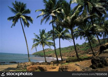 the beach of Anjuna in the Province Goa in India.. ASIA INDIA GOA